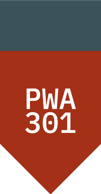 PWA301